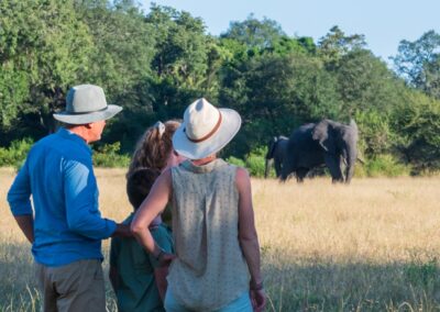 walking safari sabi sabi with Adventures Africa