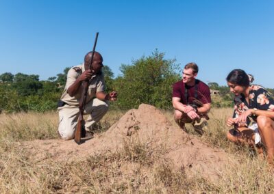 walking safari sabi sabi with Adventures Africa