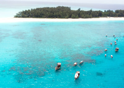 Zanzibar Snorkeling & Reef Excursions