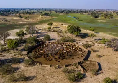 Botswana Conservation Safari with Adventures Africa