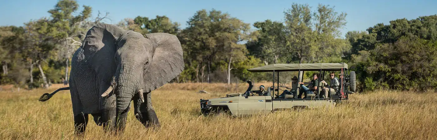 Botswana Conservation Safari