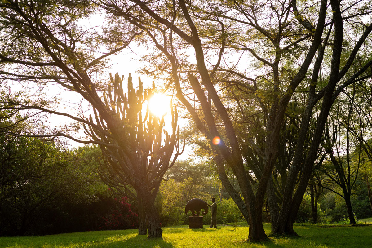 Great Ape Conservation Safari in Uganda