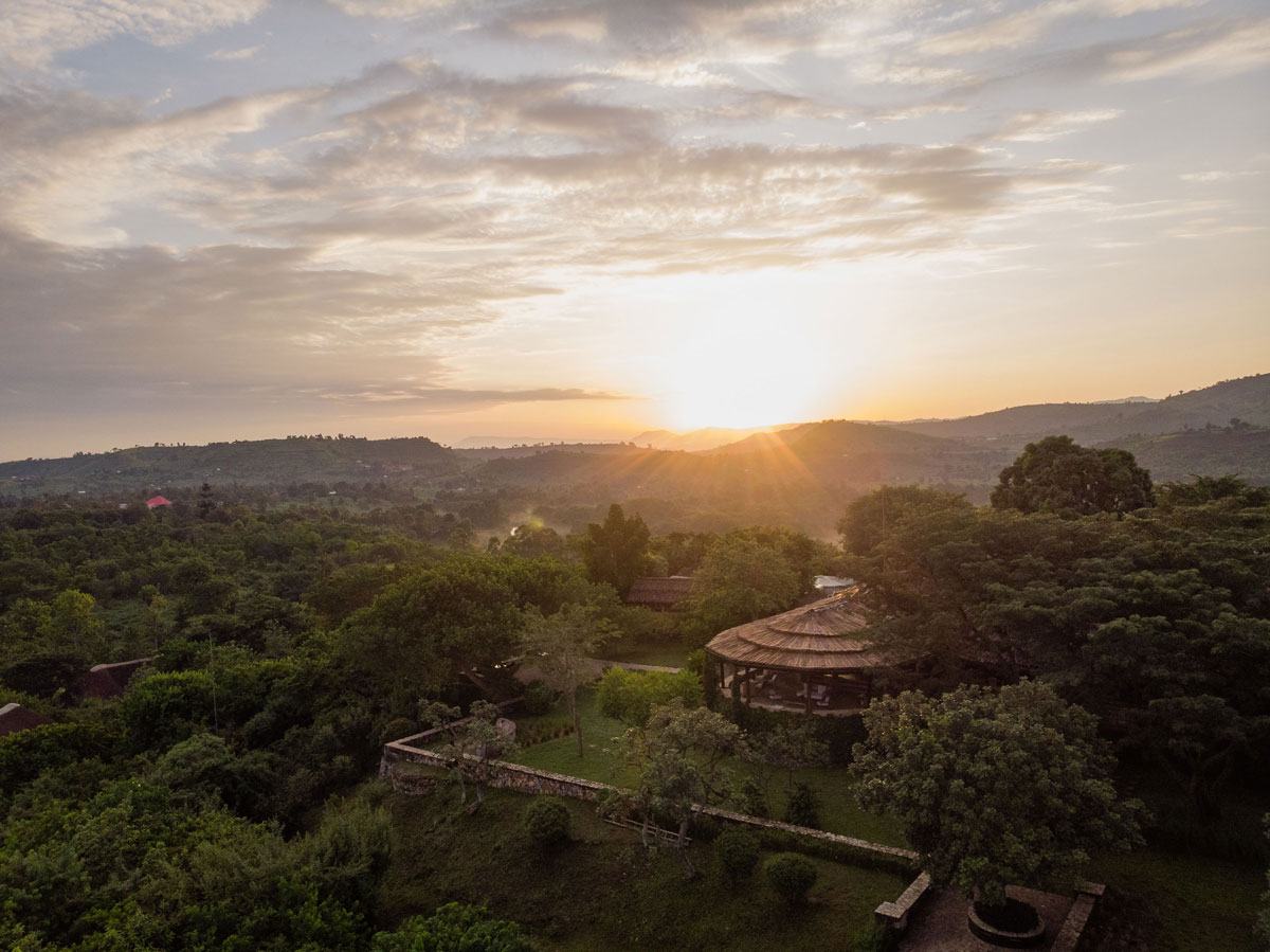 Great Ape Conservation Safari in Uganda