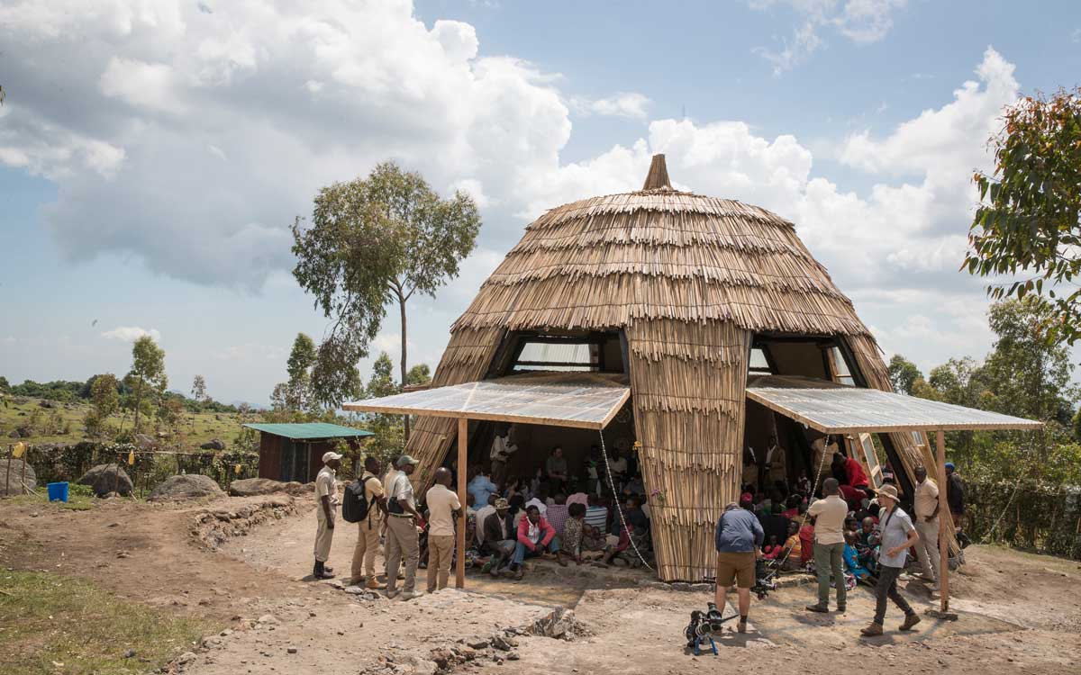 Great Ape Conservation Safari in Uganda