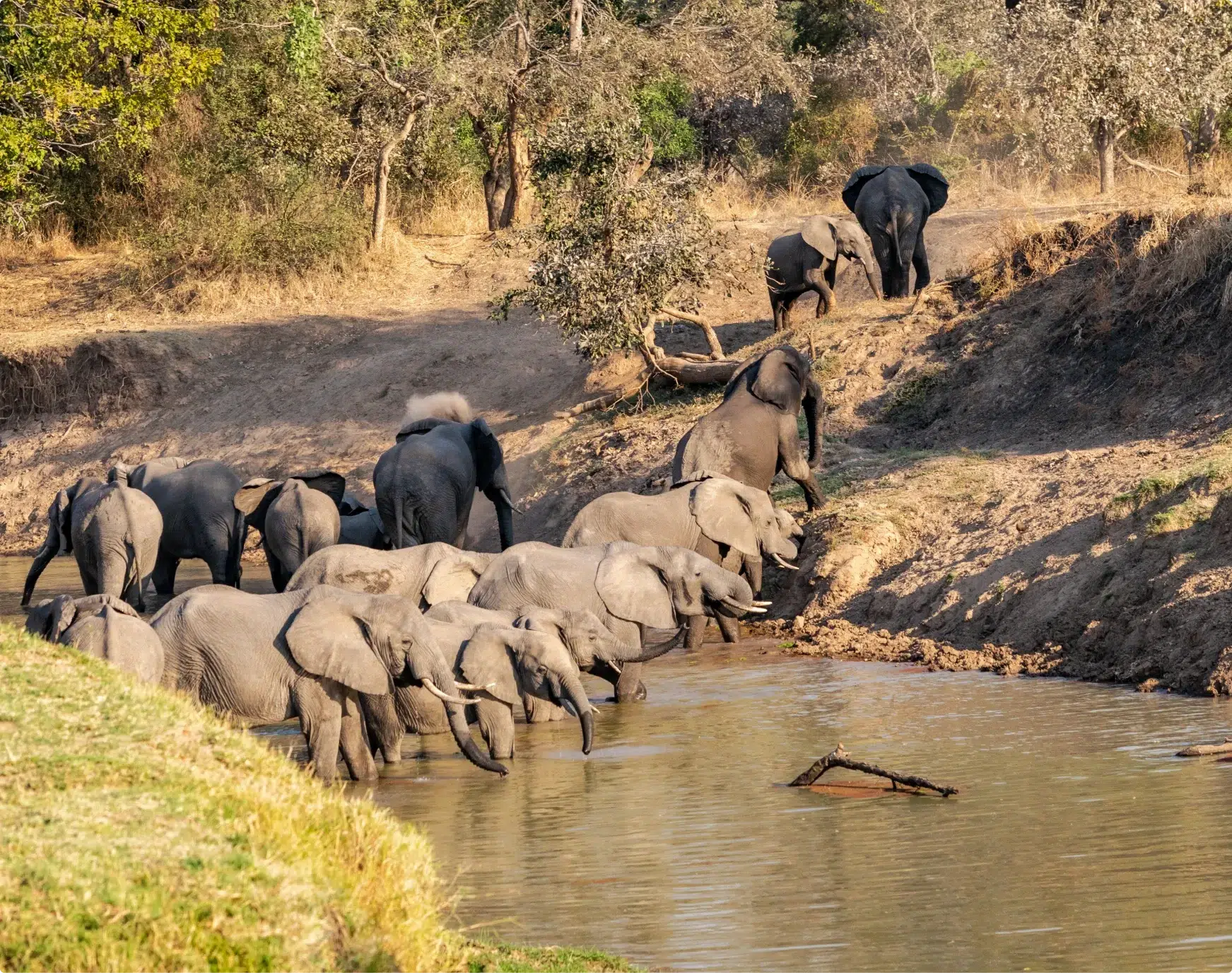 quintessential-cape-safari-victoria-falls-with-adventures-africa