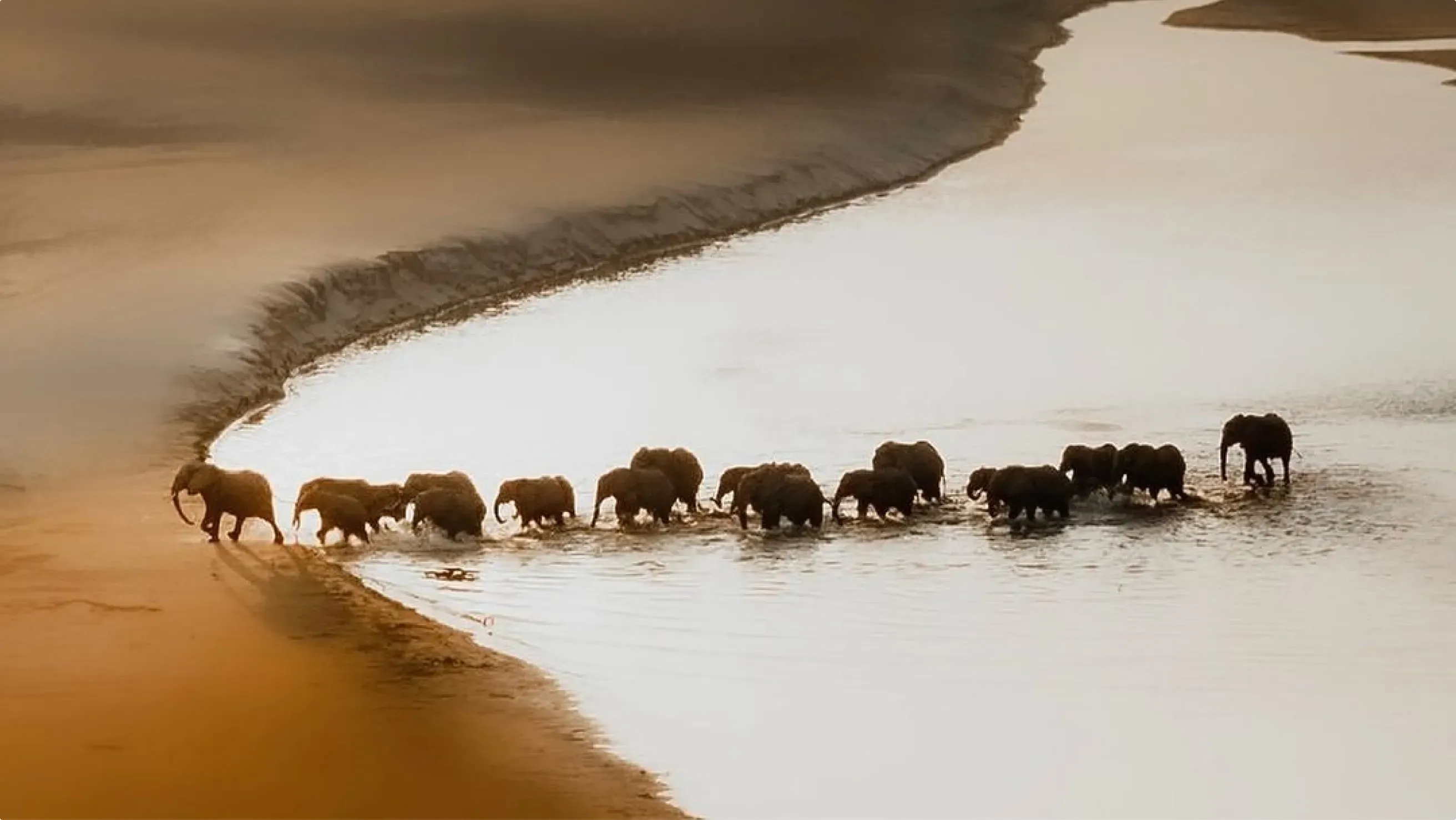 quintessential-cape-safari-victoria-falls-with-adventures-africa