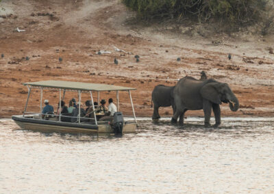 Chobe River Boat Safari with Adventures Africa