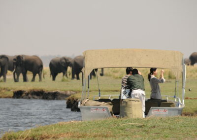 Chobe River Boat Safari with Adventures Africa