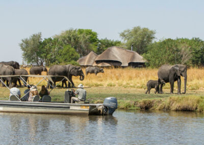 Chobe River Boat Safari with Adventures Africa