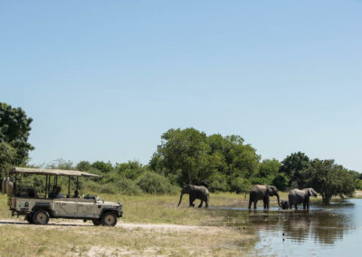 Game Drives with Adventures Africa