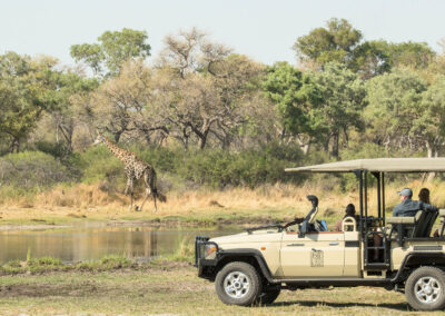Game Drives with Adventures Africa