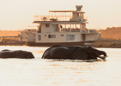 Sunset River Cruises with Adventures Africa