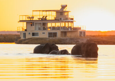 Sunset River Cruises with Adventures Africa