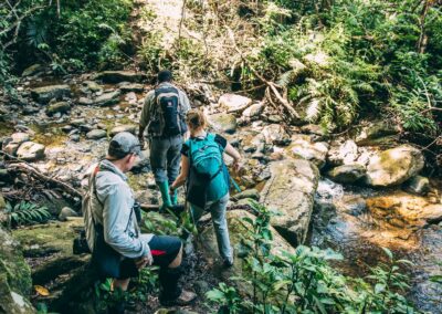 Forest Trails & Waterfall Walks with Adventures Africa