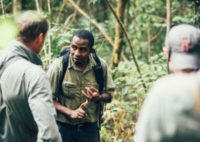 Forest Trails & Waterfall Walks with Adventures Africa