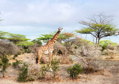 Floodplain & Seasonal Waterhole Viewing with Adventures Africa