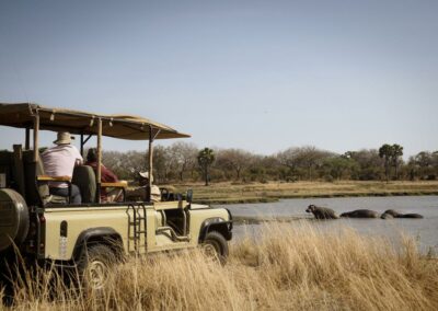 Game Drives in Remote Terrain with Adventures Africa