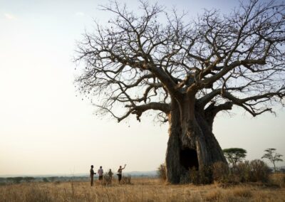 Walking Safaris with Adventures Africa