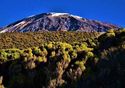 Lower Slopes Forest Walks with Adventures Africa