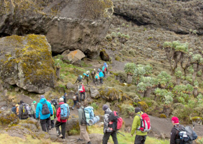 Lower Slopes Forest Walks with Adventures Africa