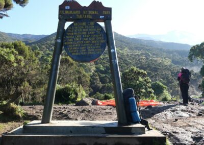 Lower Slopes Forest Walks with Adventures Africa