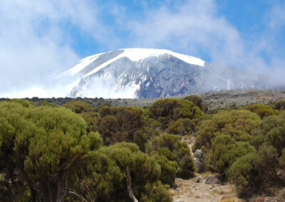 Lower Slopes Forest Walks with Adventures Africa