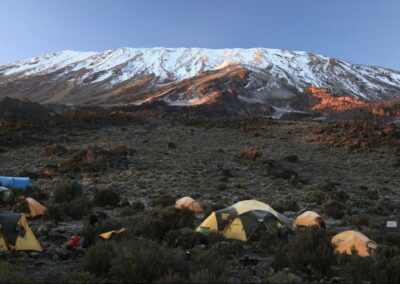 Kilimanjaro Summit Trek with Adventures Africa