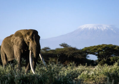 Scenic Photography & Landscapes with Adventures Africa
