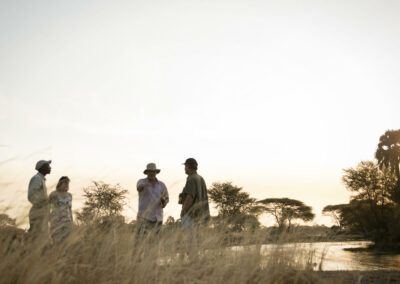 Forest Hiking & Scenic Exploration with Adventures Africa