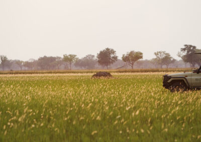 Game Drives with Adventures Africa