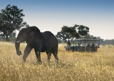 Game Drives with Adventures Africa
