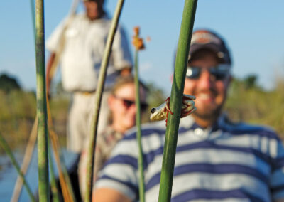 Mokoro Canoe Safari with Adventures Africa