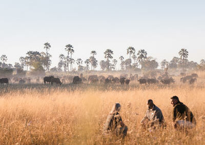 Okavango Walking Safaris with Adventures Africa