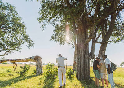 Okavango Walking Safaris with Adventures Africa