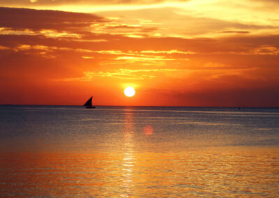 Traditional Dhow Cruises with Adventures Africa