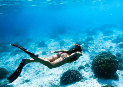 Diving & Wall Reef Exploration with Adventures Africa