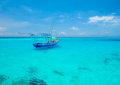 Diving & Wall Reef Exploration with Adventures Africa