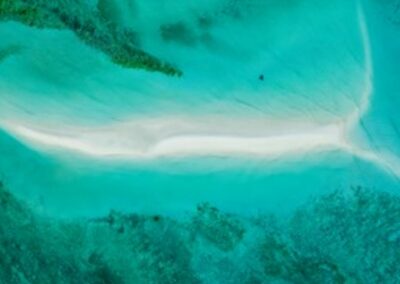 Diving & Wall Reef Exploration with Adventures Africa
