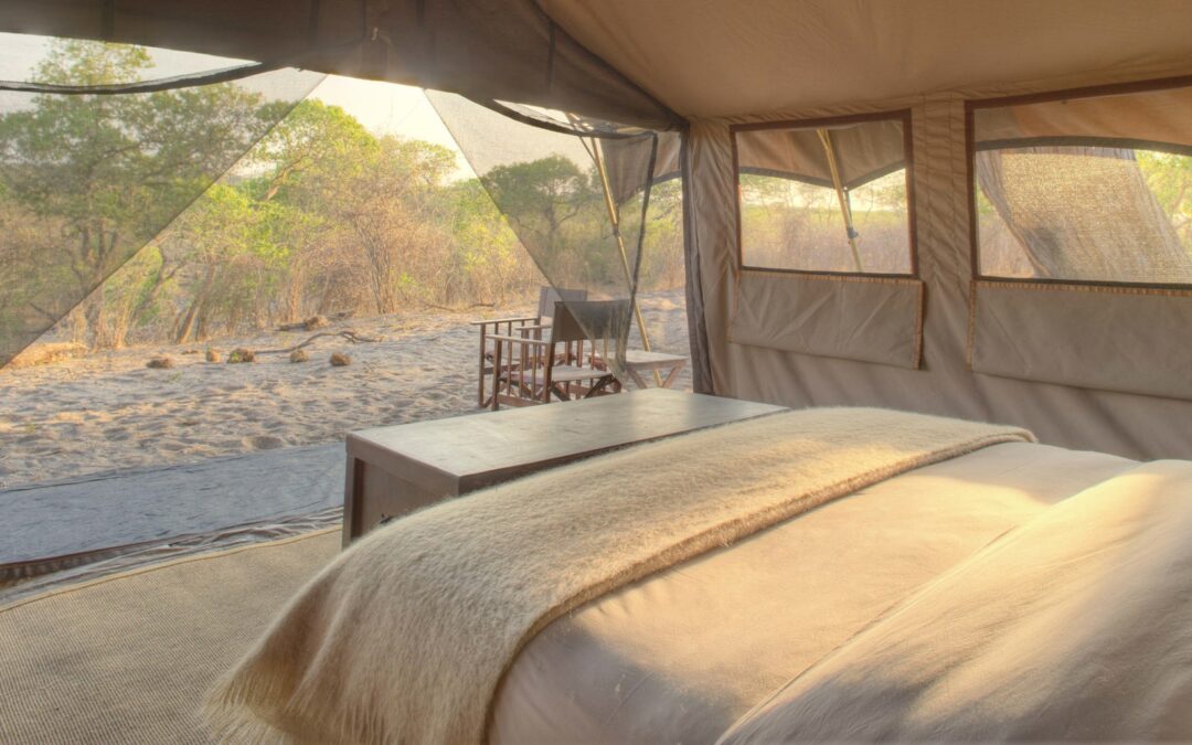 &Beyond Savute Under Canvas