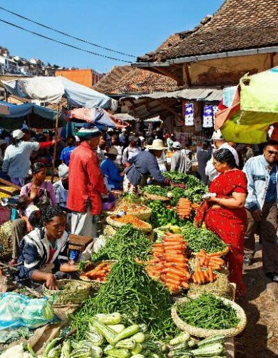 Markets & Local Culture