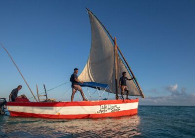 Dhow Cruises & Island Excursions