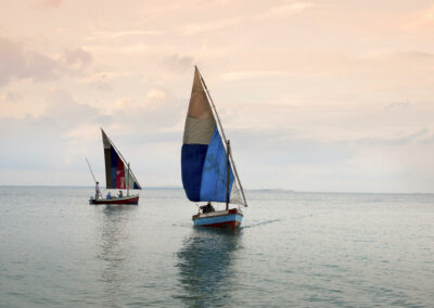 Dhow Cruises & Island Excursions