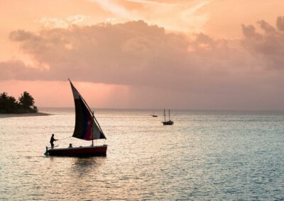 Dhow Cruises & Island Excursions