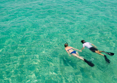 Snorkeling & Reef Exploration