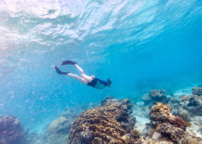 Snorkeling & Reef Exploration