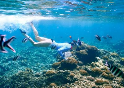Snorkeling & Reef Exploration
