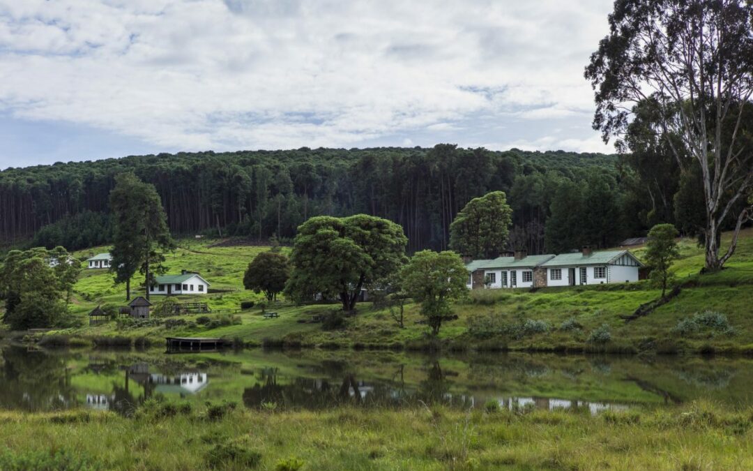 Chelinda Camp