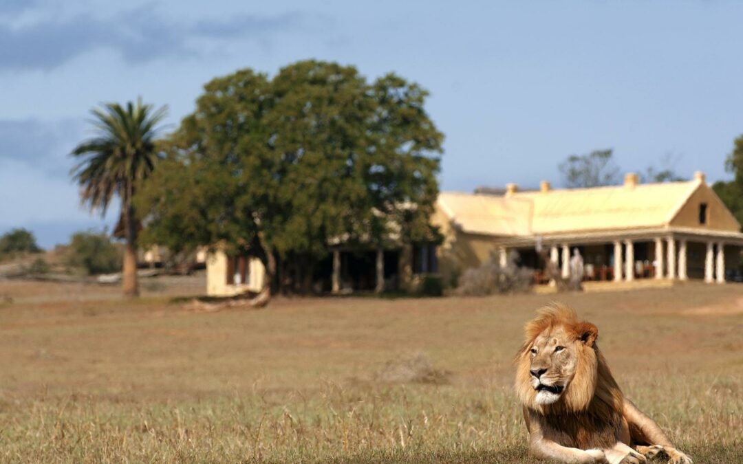 Gorah Elephant Camp