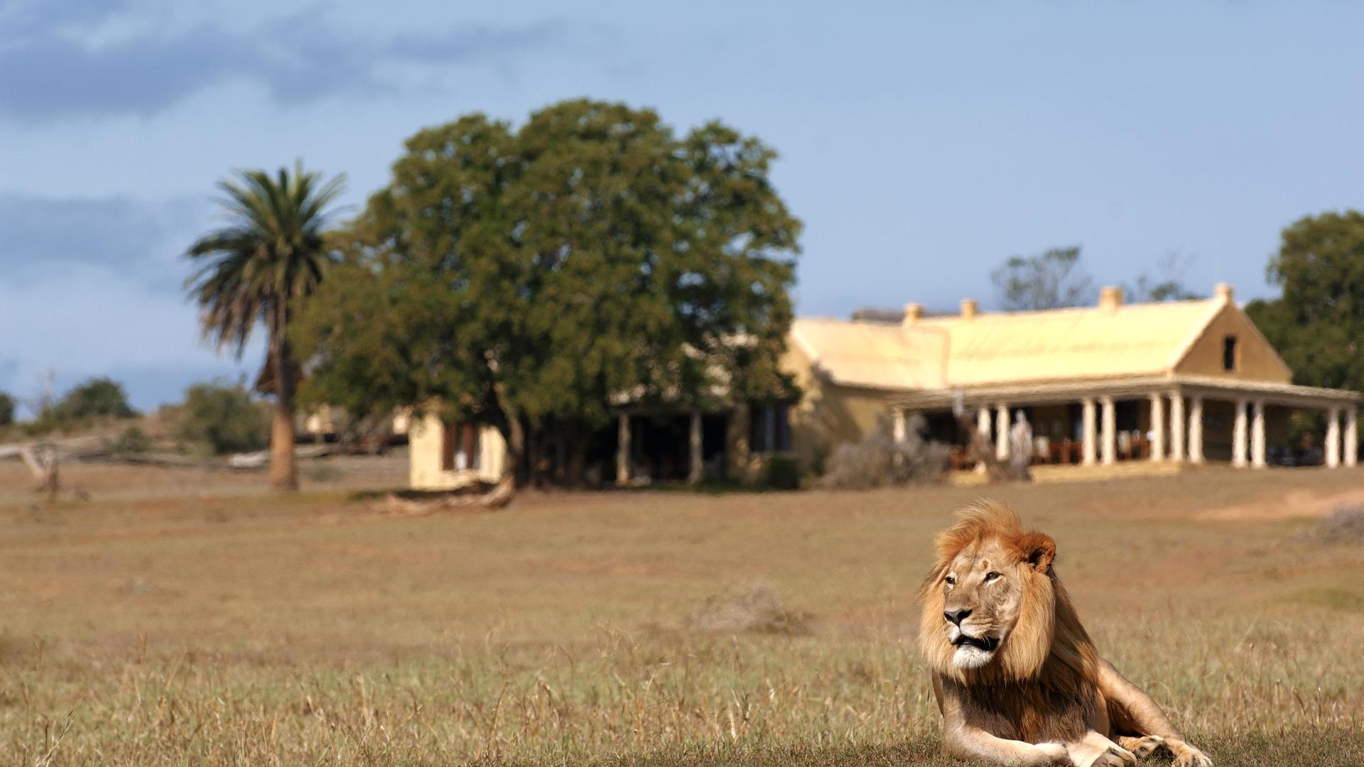 Gorah Elephant Camp