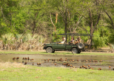 Game Drives